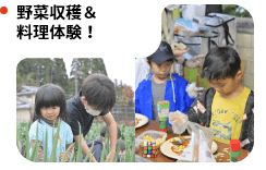 野菜収穫＆料理体験！